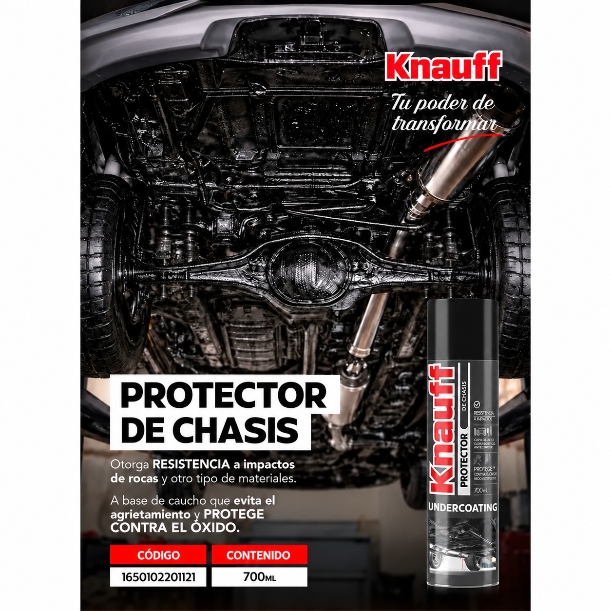 PROTECTOR PROTECTOR
